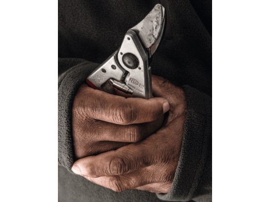 FELCO 12 - Sekator z obrotowym uchwytem rozmiar M