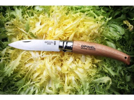 Nóż ogrodniczy Opinel nr 08