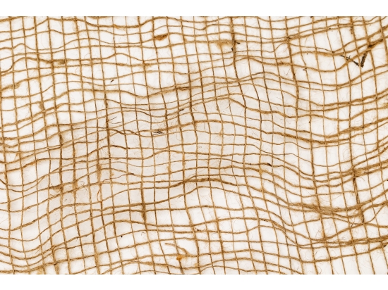 juta szkółkarska w rolce 100m x 70-110cm