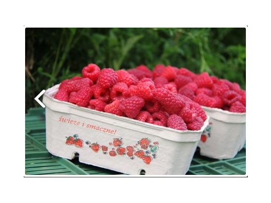 Celulozowy pojemnik na owoce, berigard 500g, karton 400szt
