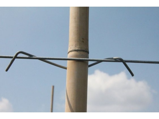 stebofix 21cm do tyczki, kołka, bambusa 750szt